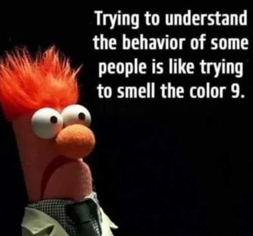 20:49:05 GMT-0400 (EDT)