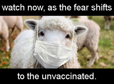 vaccine221