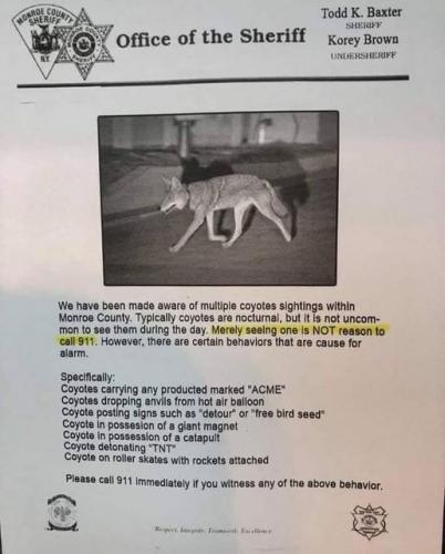 Coyote_Warning