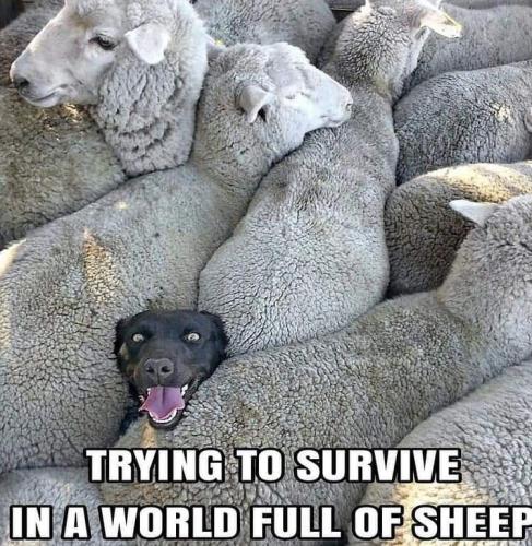 19:10:01 GMT+1000 (AEST)