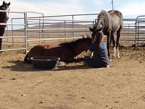 IMG_20210608_174847545