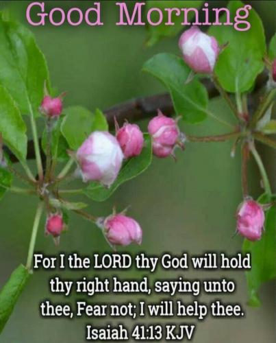 Screenshot_20210621-073804_Gallery