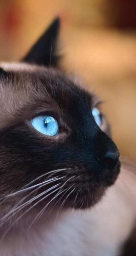 FB_IMG_1624567614118