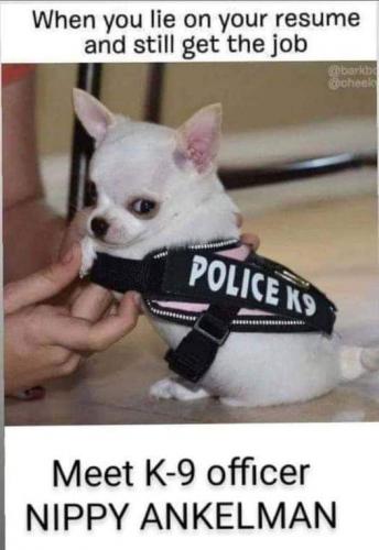 07:40:31 GMT-0600 (MDT)