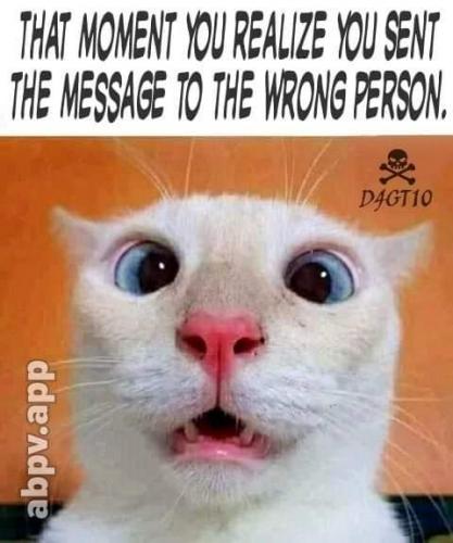 FB_IMG_1624326161445