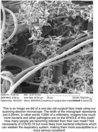 Bacteria_On_Mask