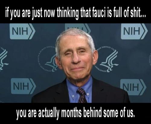 fauci79