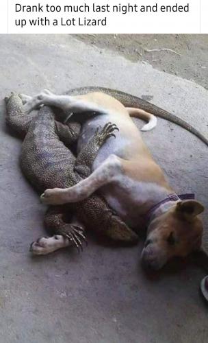 18:23:25 GMT-0400 (EDT)