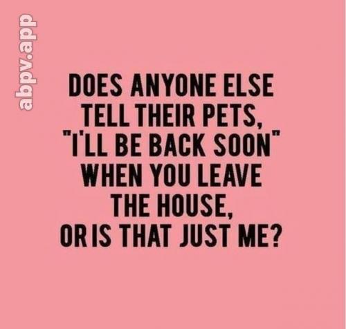 17:33:12 GMT-0400 (EDT).image