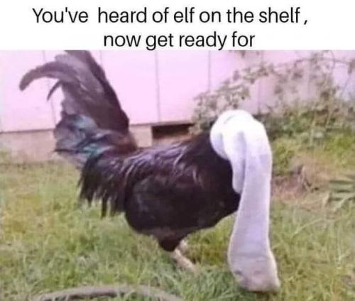 FB_IMG_1623261694348