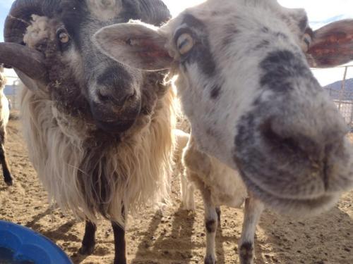 received_3114048788825986