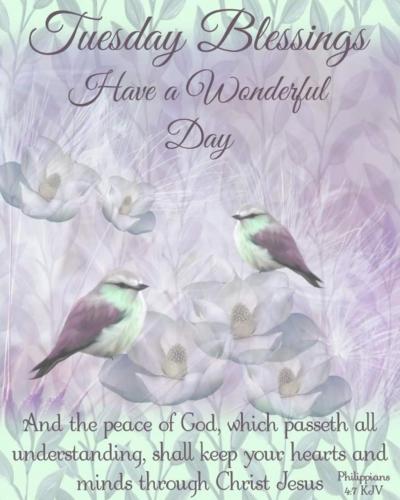 Screenshot_20210615-063709_Gallery