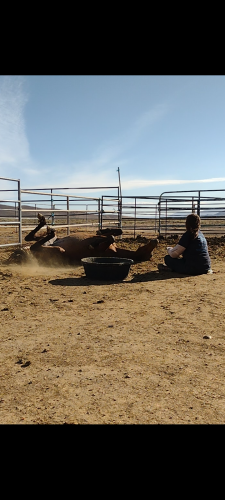 Screenshot_20210613-204908