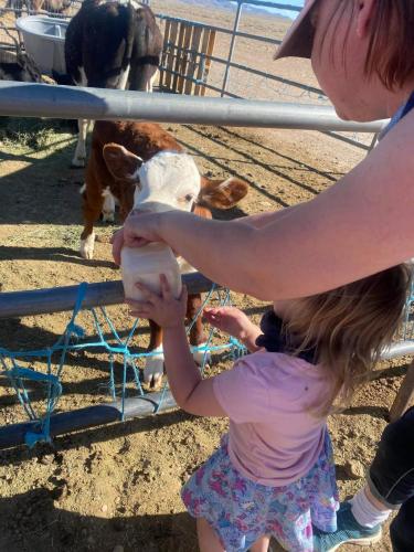 received_448204449599777