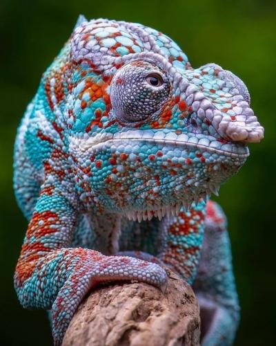 192601682_339767114193635_7859700779988583618_n