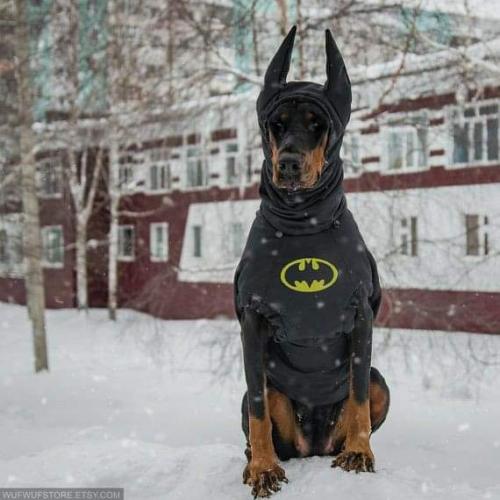 12:21:49 GMT-0500 (CDT)