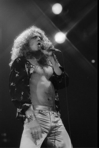 tumblr_785fea37b2a3fd5b756a216237f13640_fbdc52c9_540