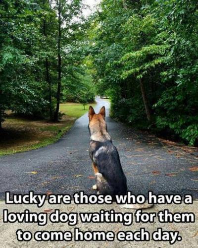 tumblr_df464e290dfbfaeab2e388799101d327_bd1cf152_540