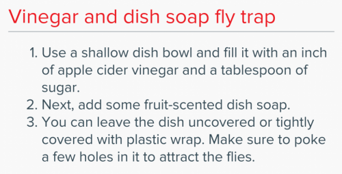 Screenshot_20210630-094753_(1)