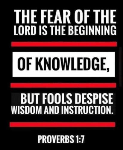 Screenshot_20210623-064828_Gallery