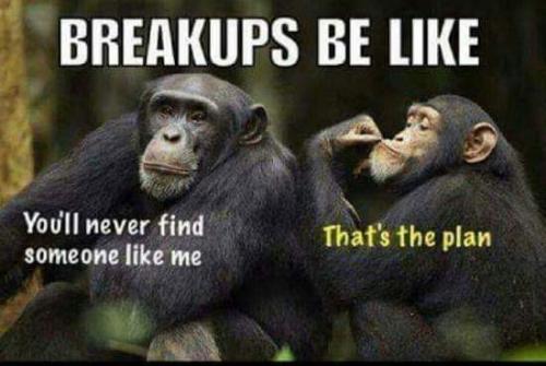 16:49:50 GMT-0400 (EDT)