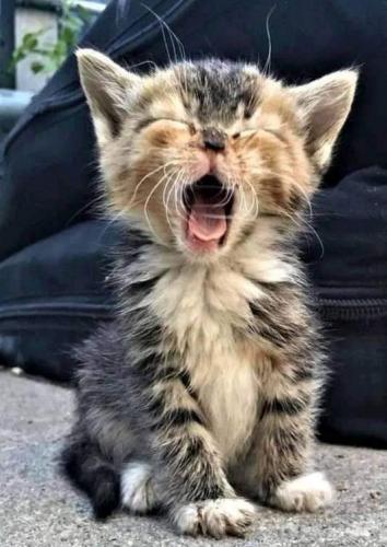 FB_IMG_1624627643201