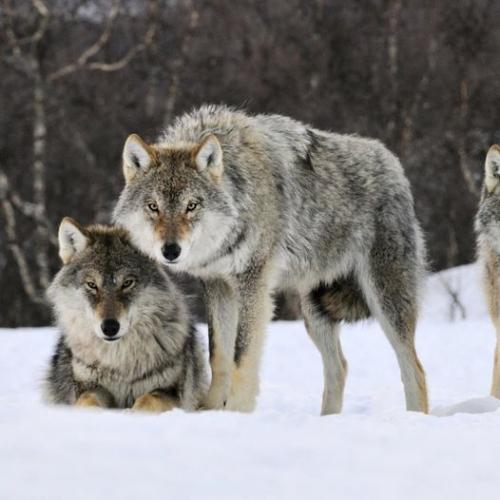 193505164_330170565343643_1379382353829762617_n