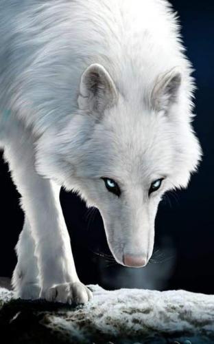 17:15:53 GMT-0500 (CDT)