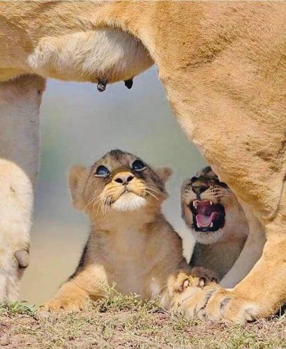 FB_IMG_1625052596140