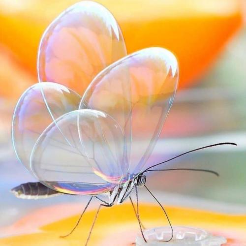 202046679_355067352663611_1772490149644827440_n