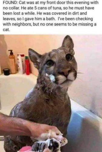 FB_IMG_1623327958158