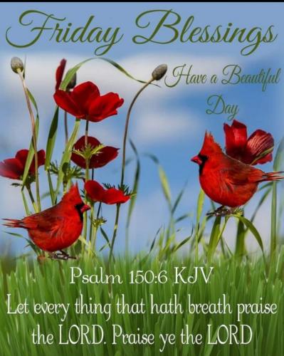 Screenshot_20210617-204132_Gallery