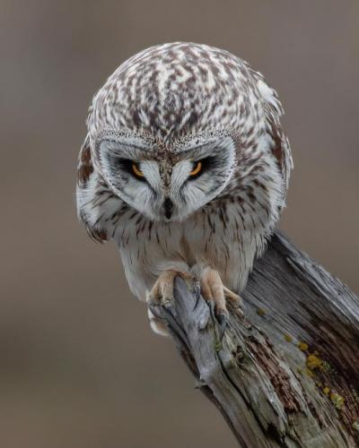 tumblr_b8b764fb0055e5b5d61bee8ca62352bf_bd6723ce_540