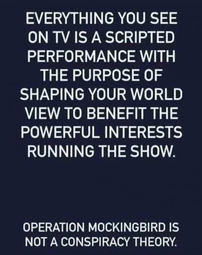 207495960_536056271083394_8130857226002092841_n