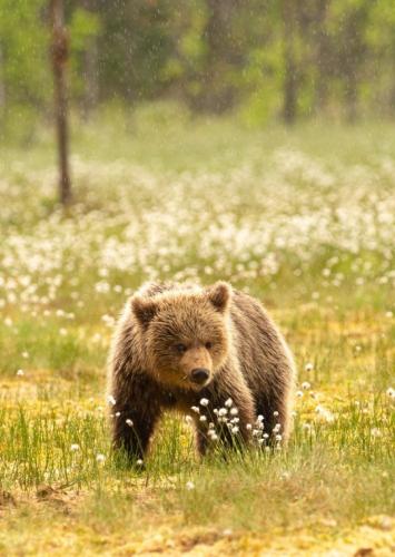 tumblr_05e94fe276ce3321db128e3862944197_d8c8cfb3_540