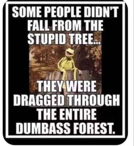 21:46:27 GMT-0500 (CDT)