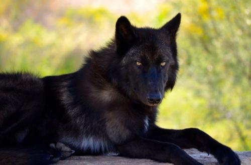 10:27:00 GMT-0500 (CDT)