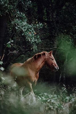 21:28:54 GMT-0500 (CDT)