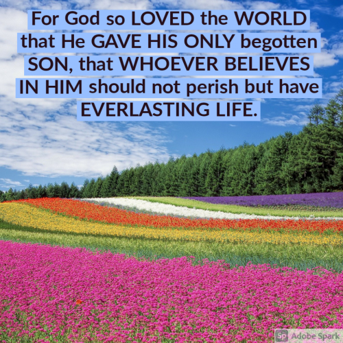 11:16:43 GMT-0400 (EDT)
