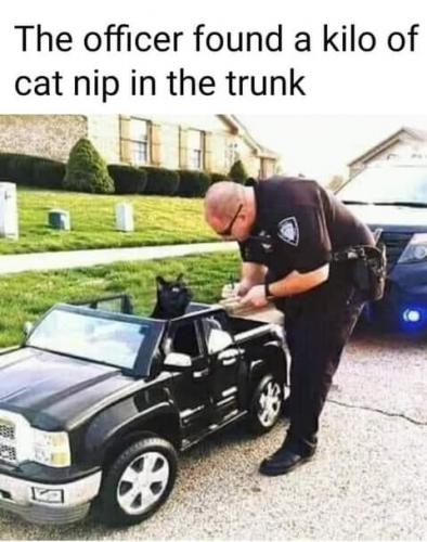 19:13:18 GMT-0700 (PDT)