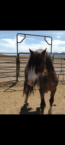 Screenshot_20210613-205151