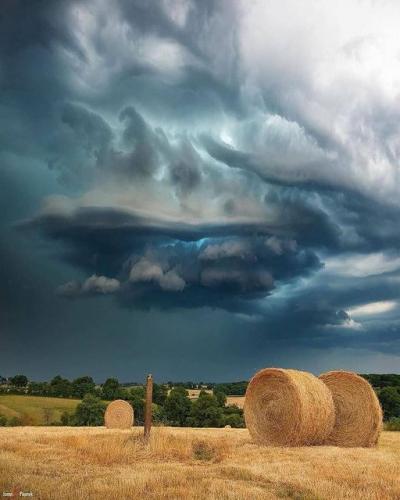 196860413_346380593532287_5638330355297362823_n