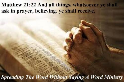 11160058_776424929123307_4592635515709033228_o