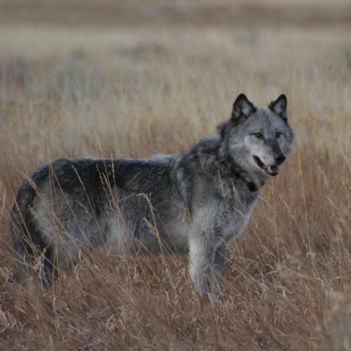 192950940_330195518674481_1103152352357544691_n