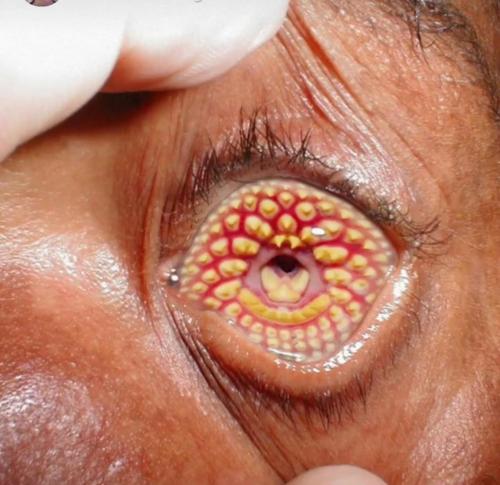 17:27:18 GMT-0500 (CDT)