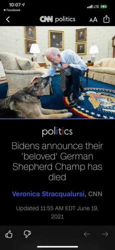 FB_IMG_1624152755649