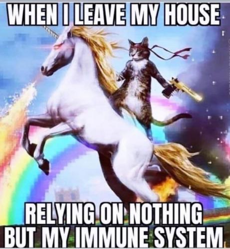 19:59:16 GMT-0400 (EDT).image