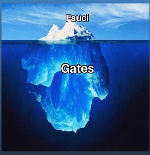 photo_2021-06-05_23-59-06