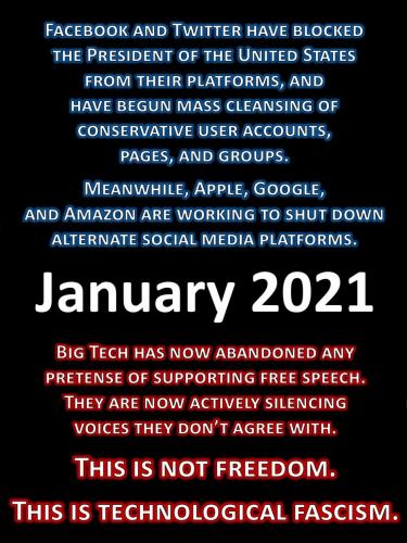 Big Tech - Technological Fascism