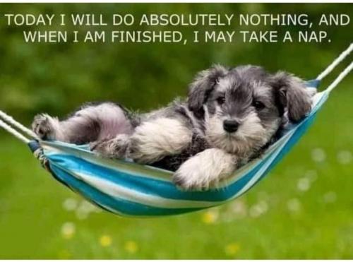 10:32:04 GMT-0400 (EDT)